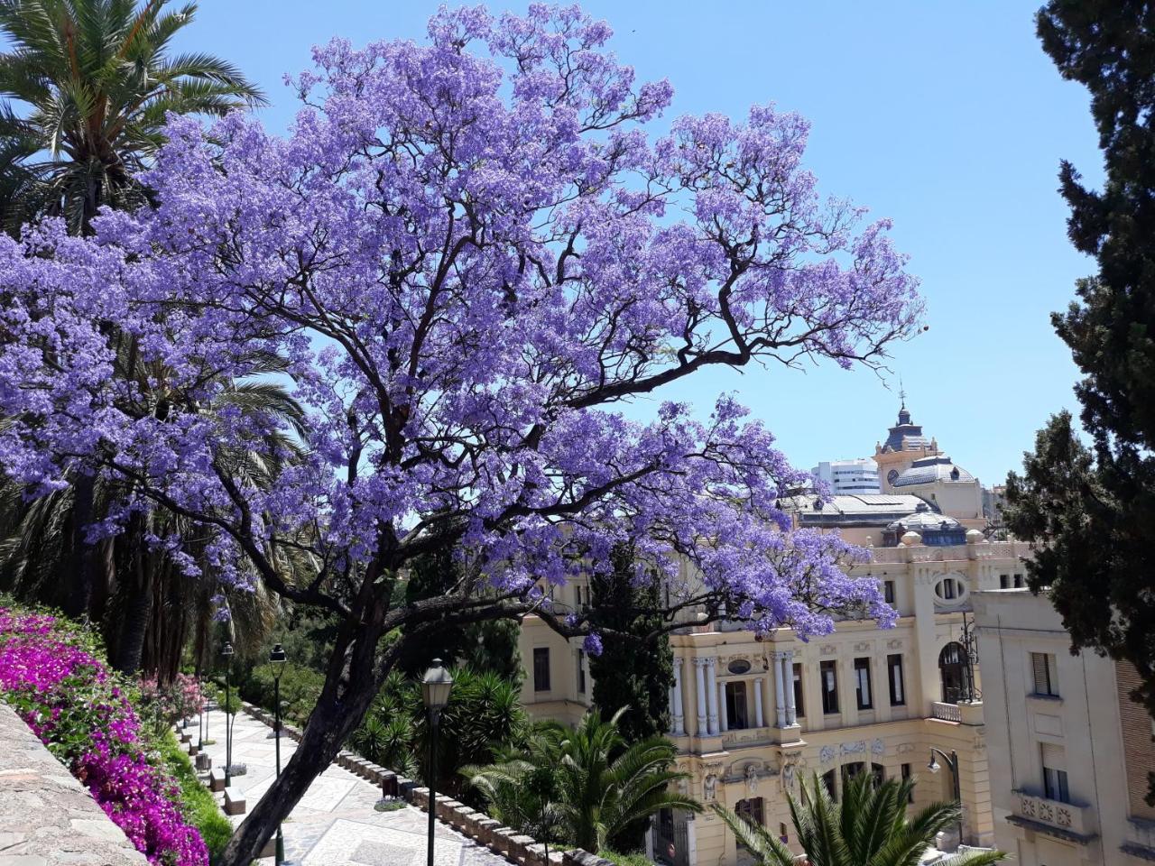Stay Home & Away In The Heart Of Historical Town Of Malaga Ngoại thất bức ảnh